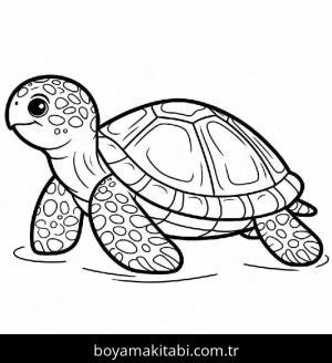 Kaplumbağa Boyama