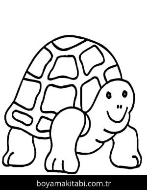 Kaplumbağa Boyama