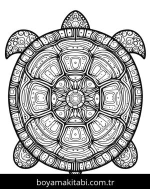 Kaplumbağa boyama sayfası,  coloring page, , 