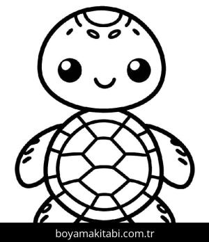 Kaplumbağa Boyama