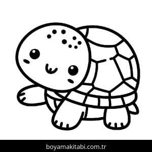 Kaplumbağa Boyama