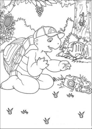 Kaplumbağa boyama sayfası,  coloring page, Franklin Kameralı, 