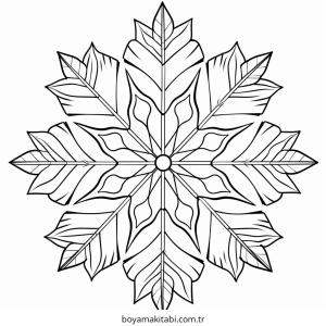 Kar Tanesi boyama sayfası – sanatsal çalışma, çocuklar için