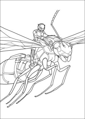 Karınca Adam boyama sayfası,  coloring page, Ant Man On Flying Ant, 