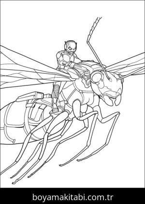 Karınca Adam Boyama