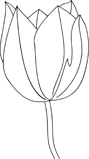 Karışık boyama sayfası, Mixed coloring page, , 