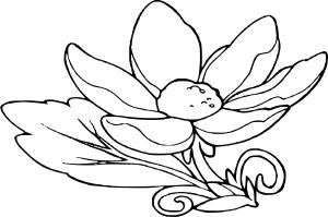 Karışık boyama sayfası, Mixed coloring page, , 