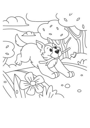 Karışık boyama sayfası, Mixed coloring page, , 