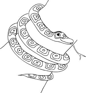 Karışık boyama sayfası, Mixed coloring page, , 