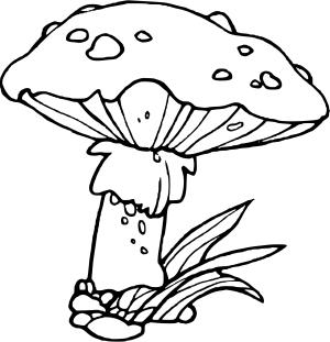 Karışık boyama sayfası, Mixed coloring page, , 