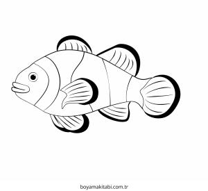 Karışık boyama sayfası – eğitici aktivite, yaratıcılık