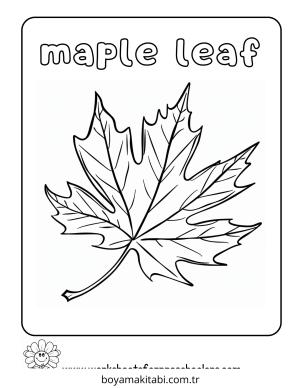 Karışık boyama sayfası – yaratıcılık, eğlenceli etkinlik