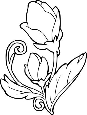 Karışık boyama sayfası, Mixed coloring page, , 