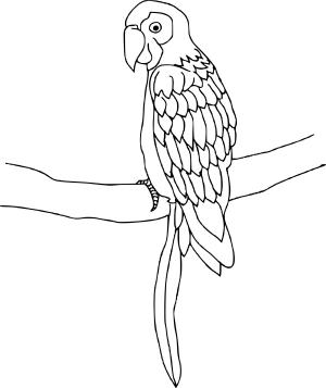 Karışık boyama sayfası, Mixed coloring page, , 