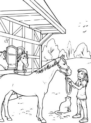 Karışık boyama sayfası, Mixed coloring page, , 