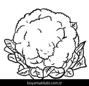 Karnabahar boyama sayfası – sanatsal çalışma, çocuklar için