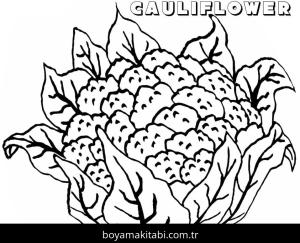 Karnabahar boyama sayfası – ücretsiz yazdır, boyama etkinliği