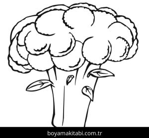 Karnabahar boyama sayfası – çocuklar için, çizgi film temalı