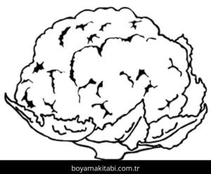 Karnabahar boyama sayfası – el becerilerini geliştirir, boyama çalışması