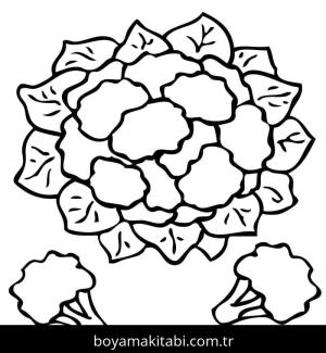 Karnabahar boyama sayfası – basit çizim, kolay boyama