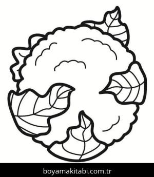 Karnabahar boyama sayfası – sanatsal çalışma, çocuklar için