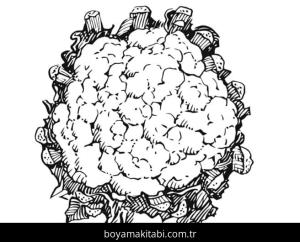 Karnabahar boyama sayfası – keyifli zaman, renkli çizimler