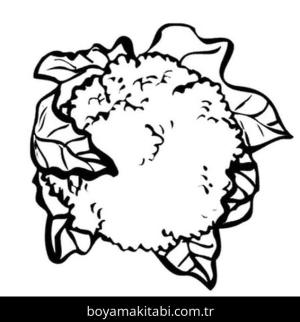 Karnabahar boyama sayfası – basit çizim, kolay boyama