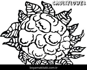 Karnabahar boyama sayfası – sevimli karakter, sanatsal çalışma