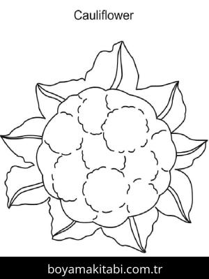 Karnabahar boyama sayfası – çocuk aktivitesi, PDF indir