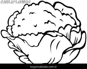 Karnabahar Boyama Sayfaları