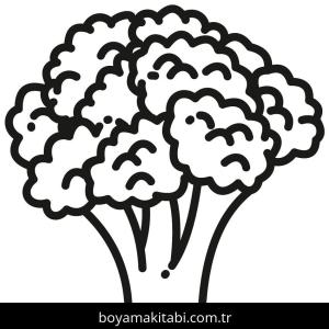 Karnabahar boyama sayfası – kolay boyama, eğitici aktivite