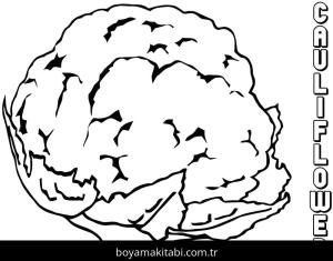 Karnabahar boyama sayfası – PDF indir, sevimli karakter