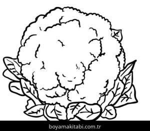 Karnabahar boyama sayfası – okul öncesi, evde etkinlik