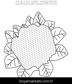 Karnabahar boyama sayfası – boyama etkinliği, çocuk aktivitesi