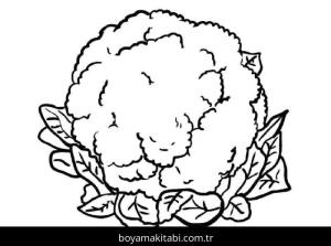 Karnabahar boyama sayfası – evde etkinlik, ücretsiz yazdır