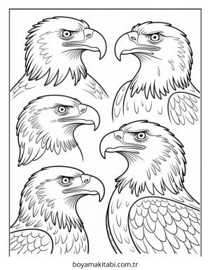 Kartal boyama sayfası – çocuk aktivitesi, PDF indir