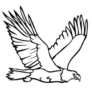 Kartal boyama sayfası, coloring page, Kartal çizimi,