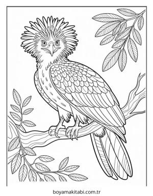 Kartal boyama sayfası – boyama etkinliği, çocuk aktivitesi