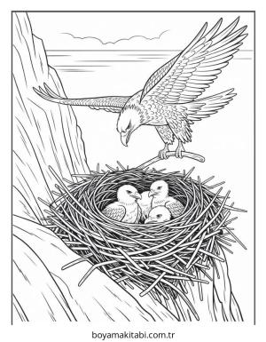Kartal boyama sayfası – evde etkinlik, ücretsiz yazdır