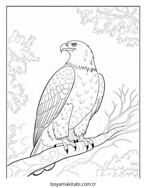 Kartal boyama sayfası – sanatsal çalışma, çocuklar için