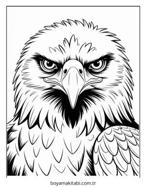 Kartal boyama sayfası – keyifli zaman, renkli çizimler