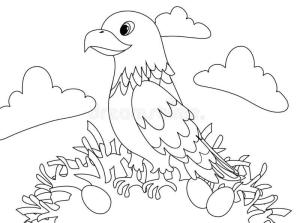 Kartal boyama sayfası, coloring page, Yumurta ile Kartal,