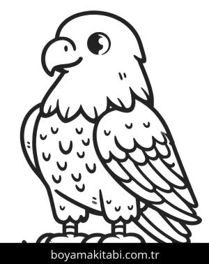 Kartal boyama sayfası,  coloring page, , 12)