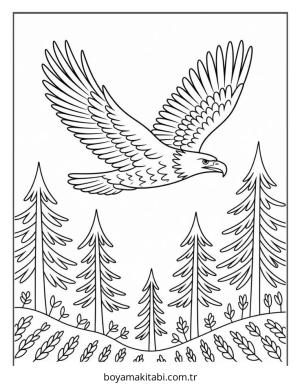 Kartal boyama sayfası – renkli çizimler, okul öncesi