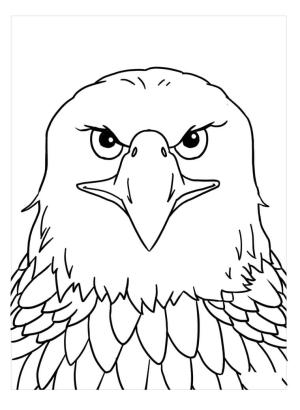 Kartal boyama sayfası,  coloring page, Kartal Surat, 