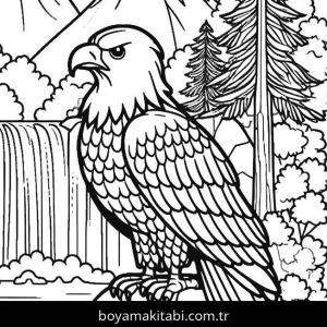 Kartal boyama sayfası,  coloring page, , 19)