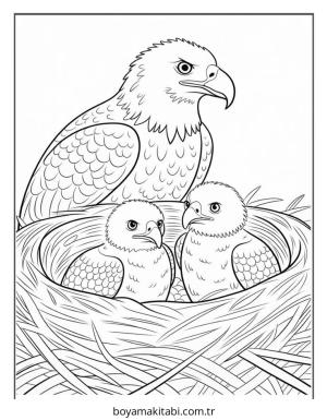 Kartal boyama sayfası – PDF indir, sevimli karakter