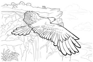 Kartal boyama sayfası, coloring page, Güzel Manzara ile Kartal,