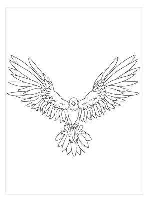 Kartal boyama sayfası, coloring page, Müthiş Kartal,