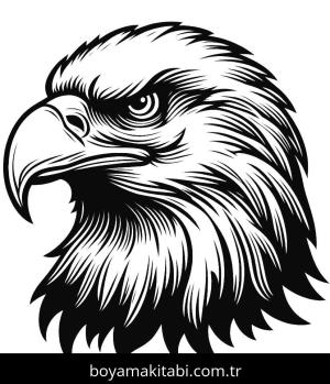 Kartal boyama sayfası,  coloring page, , 4)